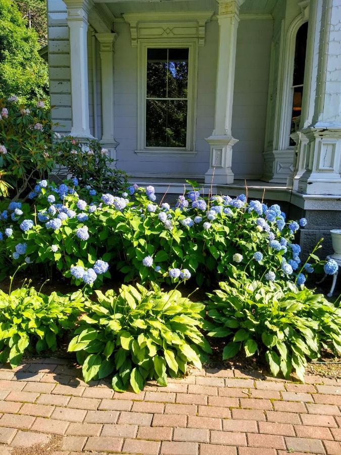 Proctor Mansion Inn Wrentham Zewnętrze zdjęcie