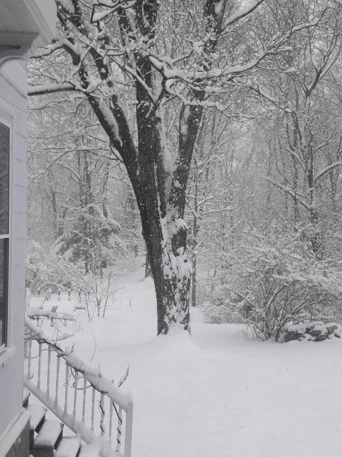 Proctor Mansion Inn Wrentham Zewnętrze zdjęcie